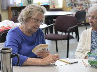 Bridge brings good times to COA