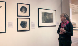 Davis Museum offers art experience