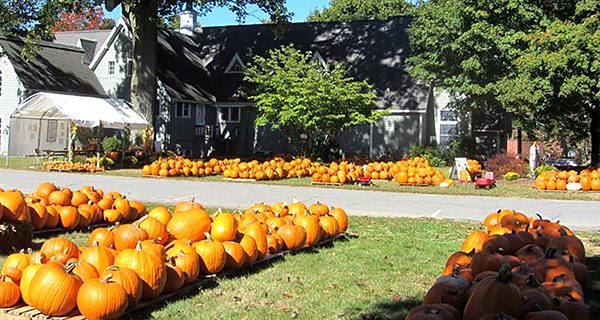 Epiphany Parish Pumpkin Patch opens Saturday