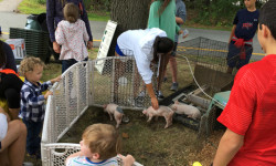 Food Scraps program reducing town waste