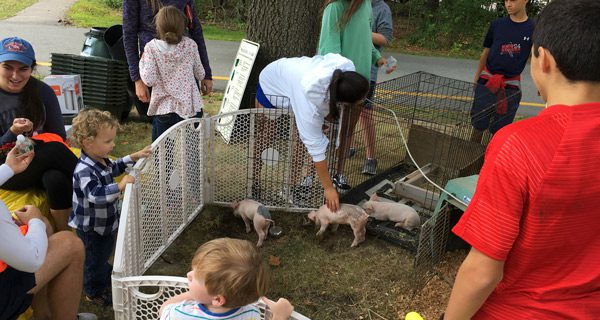 Food Scraps program reducing town waste