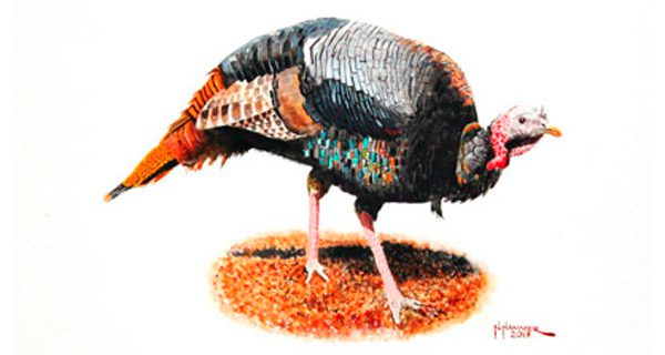 Nelson Hammer exhibiting at Dover Library