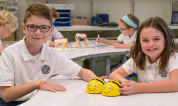 St. Joseph’s hosting Information Night