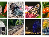 Art fair scheduled for Saturday