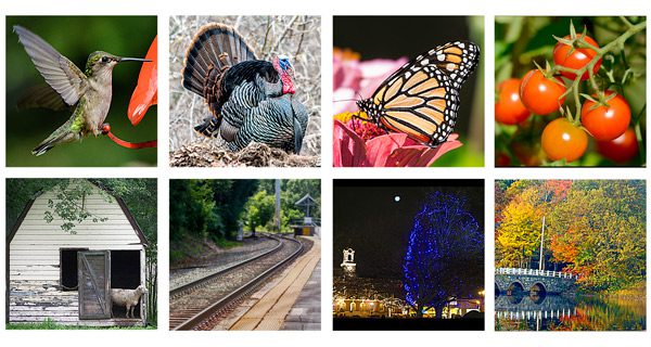 Art fair scheduled for Saturday