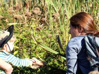 Bird Park sprouts love for nature