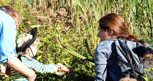 Bird Park sprouts love for nature