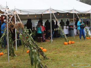 Families escape the rain and enjoyed fresh air under the tents at Springdale Field’s third annual festival to raise awareness for the Dover Land Conservation Trust.