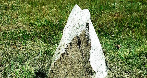 Vine Lake walking tour on Saturday