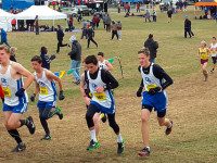 Fried, DS XC place No. 12 in states