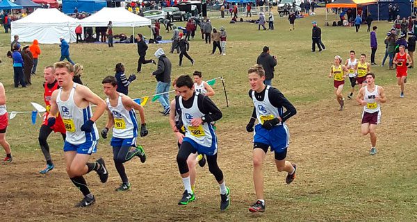 Fried, DS XC place No. 12 in states