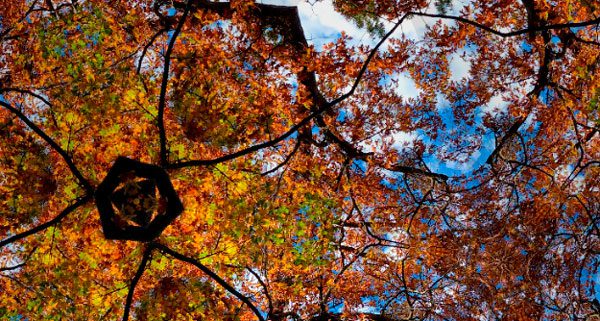 Kira Seamon presenting ‘Stained Glass Sky’