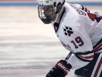 Griffin, Picking back-boning Huskies