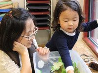 Library playgroup creates autumn art