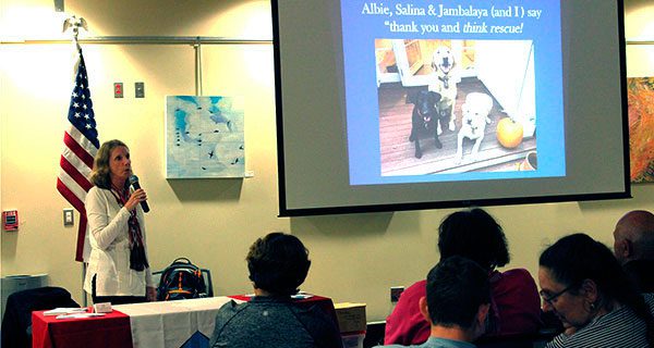 The story of man’s best friend…