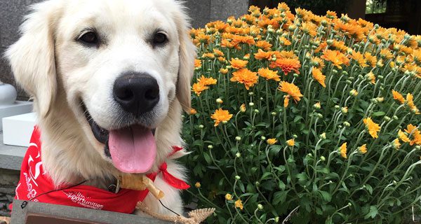 GOFI hosting Nov. 25 Harvest Dinner