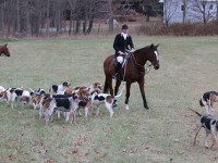 Hunt Club simulates longstanding tradition