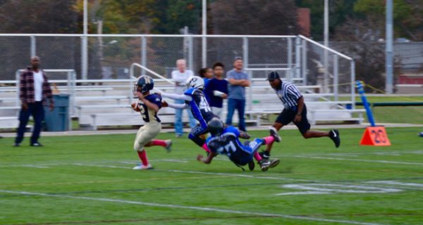 Junior Rockets sweep Boxers