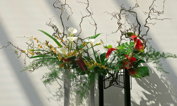 Tanaka to give ikebana demonstration