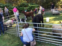 St. John’s holds annual Pumpkinfest