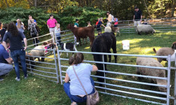 St. John’s holds annual Pumpkinfest