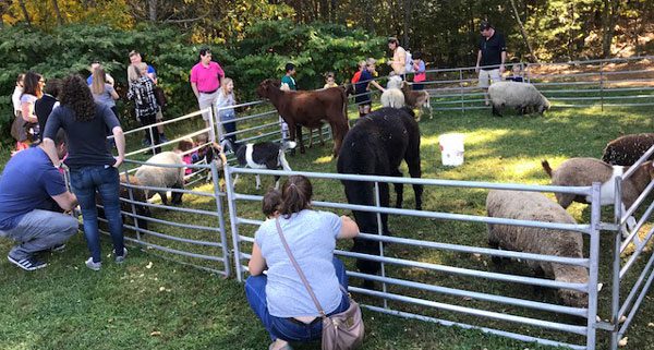 St. John’s holds annual Pumpkinfest