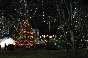 A sea of multicolored lights transforms Baxter Park into a winter wonderland for the holiday season.