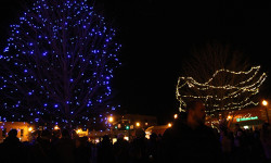 Blue Tree lighting kicks off holidays