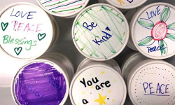 Walpole Girl Scouts give back