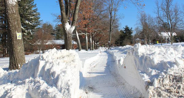 Blizzard leaves Dover-Sherborn snowed over