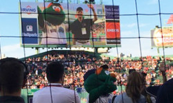 Teacher honored at Fenway Park