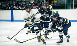 Bruno nets four, Lady-Rockets cruise