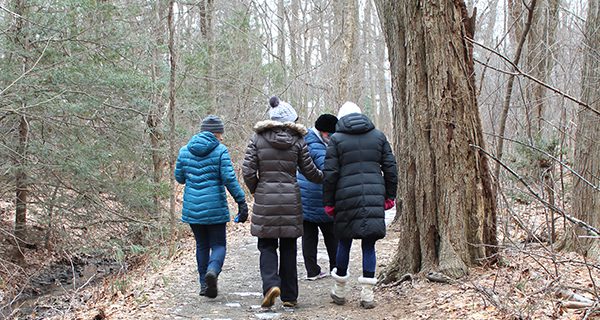 Bird Park hosts ‘Wednesday Wanderings’
