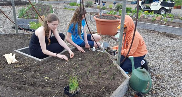 Mass Hort hosting school garden conference