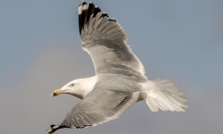 Local hotspot attracts out-of-towners