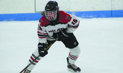 All-Scholastics littered with Raiders