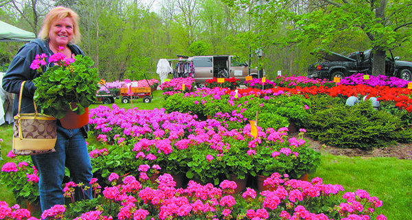 Geranium sale set for May 12