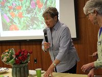 Needham Garden Club studies tulip history