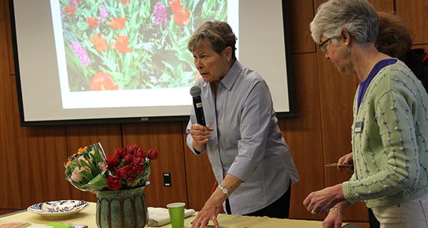 Needham Garden Club studies tulip history