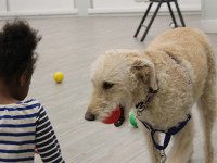 GOFI grants ‘paw-sitive’ opportunities for disabled