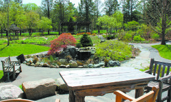 Elm Bank beckons anew