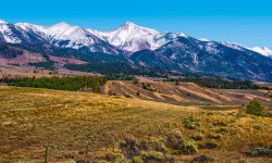 Advanced photography program seeks feedback