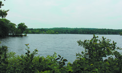 Morses ode: Wellesley pond a jewel