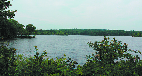 Morses ode: Wellesley pond a jewel