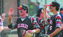 Raiders outlast Hawks in Sectionals