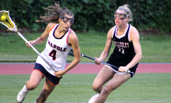 Lady-Rebs fall just short in state final