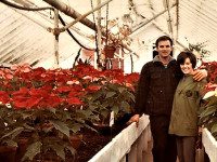 This Old Town: 100 Year Anniversary of a Landmark Florist Business