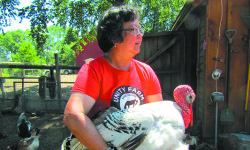 Goats, alpacas, miniature ponies, oh my!