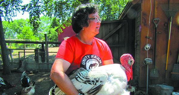 Goats, alpacas, miniature ponies, oh my!