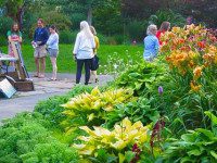 Arts on the Green coming soon